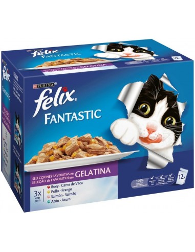 Purina Felix Fantastic Adult Mix Selecciones Favoritas 12 x 100 gr. 7613034370792