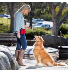 The Company of Animals Treat Red Bag. 886284272407 2