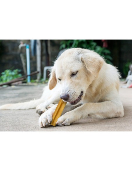 Churpi Dog Snack Leche Yak y Cebú 200 gr. 8437017019282