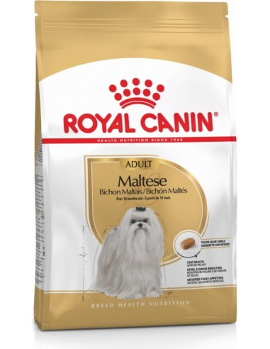 Royal Canin Breed Dog Adult Bichon Maltès 3182550782203