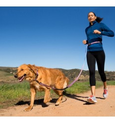 Halti All-in-One Lead Small Azul. 886284161626 2