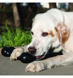Kong Extreme Goodie Bone Medium (7 - 16 Kg). 611932100128 2