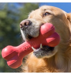Kong Goodie Bone Medium (7 - 16 Kg). 611932100111 2
