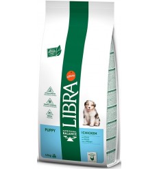 Libra Dog Puppy Pollastre