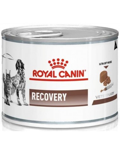 Royal Canin Veterinary Diet Dog/Cat Adult Recovery Mousse 195 gr 9003579307717