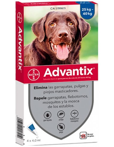 Bayer Advantix Dog Solución Spot-On (entre 25 y 40 kg) 1 pipeta 4007221043140