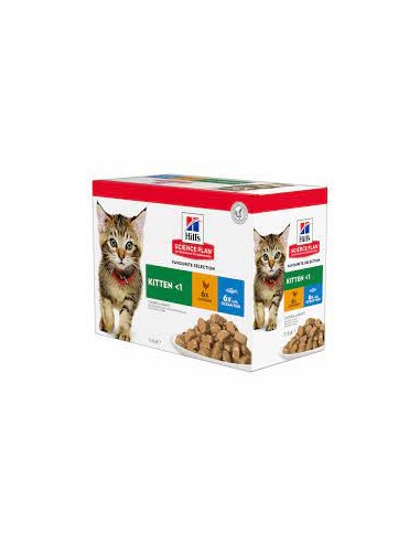 Hill's Science Plan Kitten Pack Pollo...