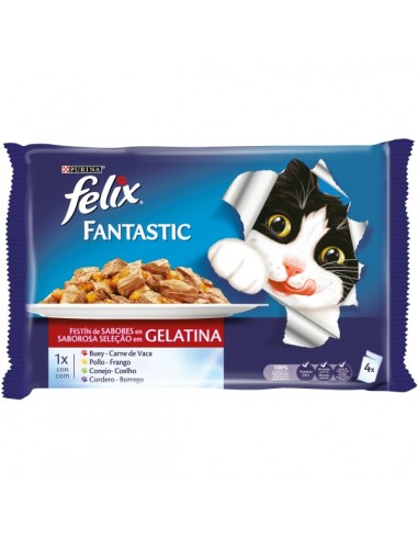 Purina Felix Fantastic Adult Festí de...