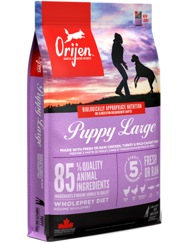 Orijen Puppy Large