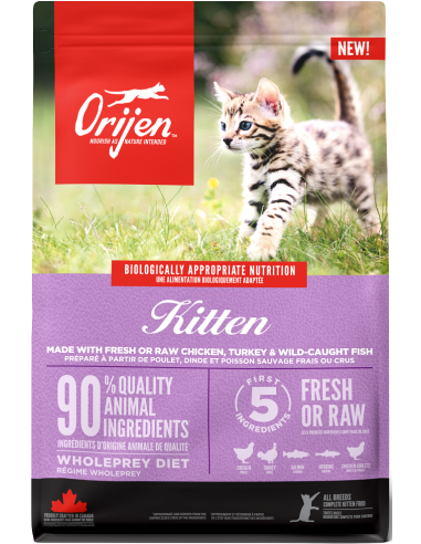 Orijen Kitten Formula