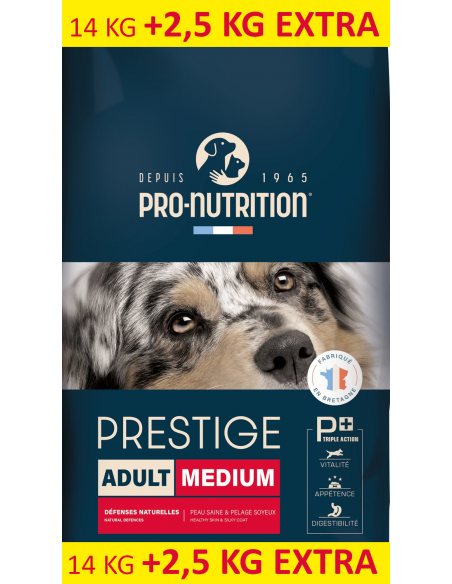 Flatazor Prestige Adult Medium