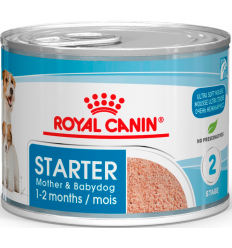 Royal Canin Starter Mother and Babydog Mousse 195 gr. 9003579311462