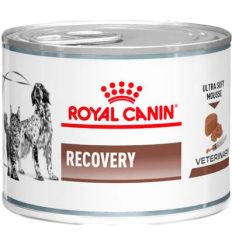 Royal Canin Recovery Mousse 195 gr. EAN 9003579307717