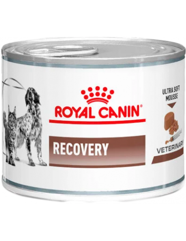 Royal Canin Recovery Mousse 195 gr. EAN 9003579307717