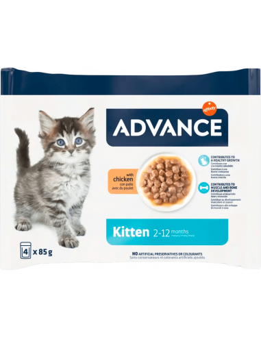 Advance Cat Kitten Pollo