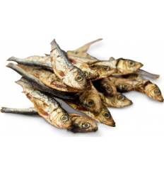 Cotecnica Animals Espadines