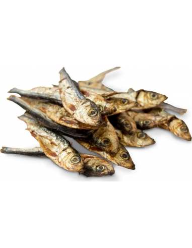 Cotecnica Animals Espadines