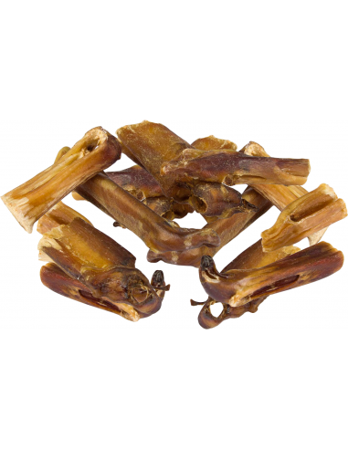 Cotecnica Animals Puntes de Nervis