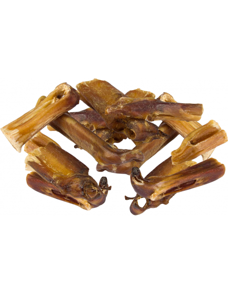 Cotecnica Animals Puntes de Nervis