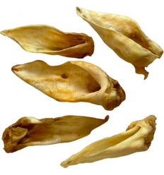 Cotecnica Animals Oreja de...