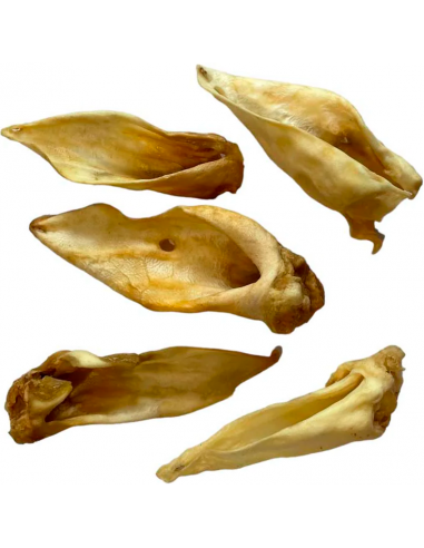 Cotecnica Animals Orella de Xai