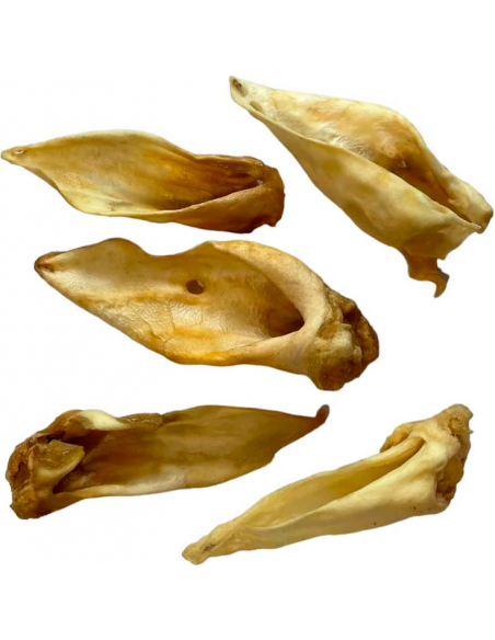Cotecnica Animals Oreja de Cordero