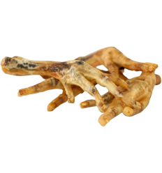 Cotecnica Animals Patas de...