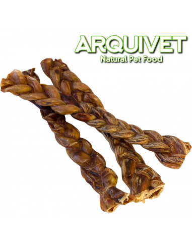 Arquivet Nervi Trenat