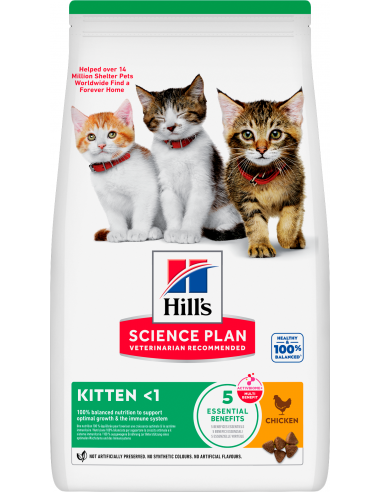 Hill`s Science Plan Cat Kitten Pollo