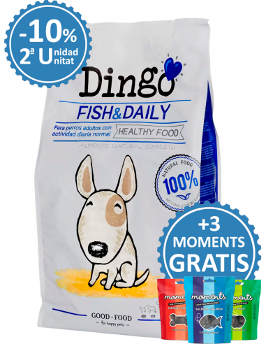 Dingo Adult Fish & Daily