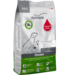 Dingo Platinum Adult Pollo...