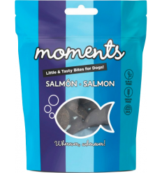 Dingo Moments Adult Salmón 60 gr