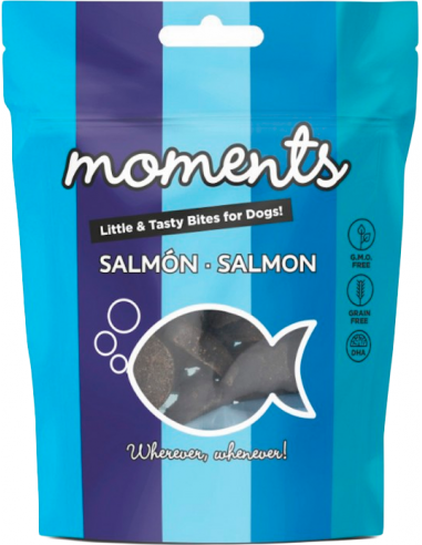 Dingo Moments Adult Salmón 60 gr