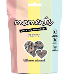 Dingo Moments Puppy Salmón