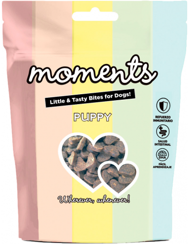 Dingo Moments Puppy Salmón