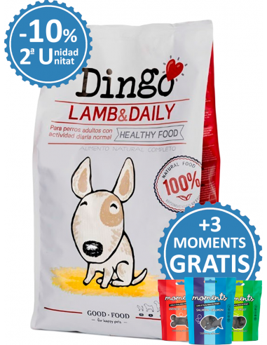 Dingo Adult Lamb & Daily