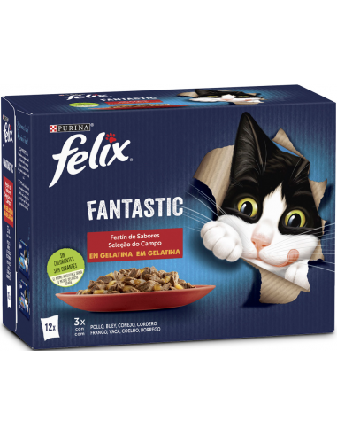 Purina Felix Fantastic Festín de Sabores en Gelatina 12 x 85 gr. EAN 7613287495228