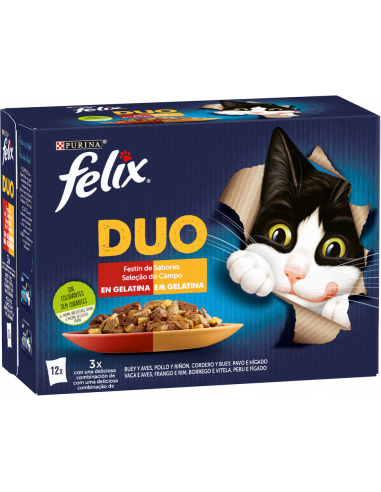 Purina Felix Duo Festín de Sabores en Gelatina 12x85gr. 7613287495792