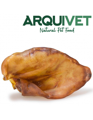 Arquivet Orella de Porc Mitjana