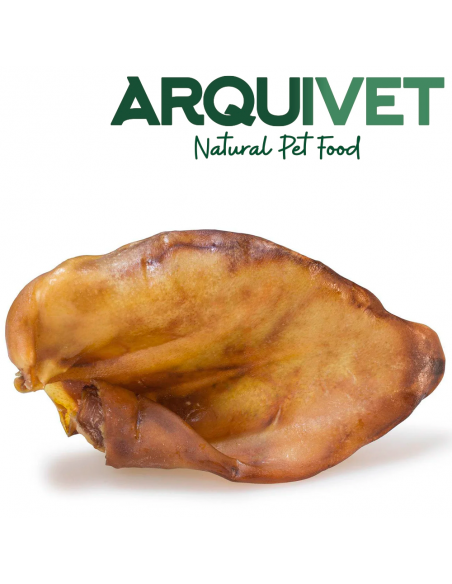 Arquivet Oreja de Cerdo Mediana