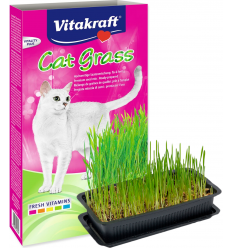Vitakraft Cat Grass 120 gr. 4008239240316