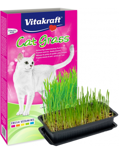 Vitakraft Cat Grass 120 gr. 4008239240316