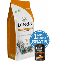 Lenda Adult Maxi. 8435578201368