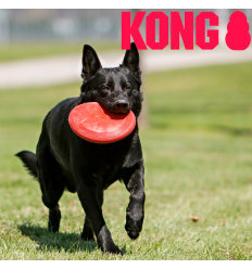 Kong Flyer 2