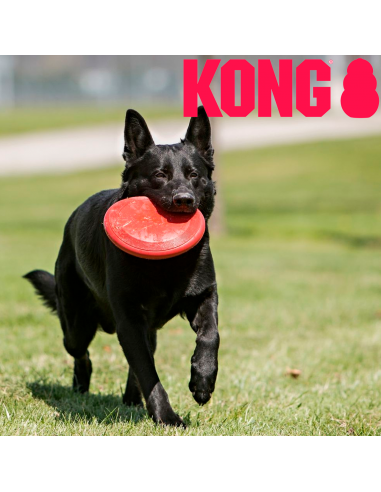 Kong Flyer