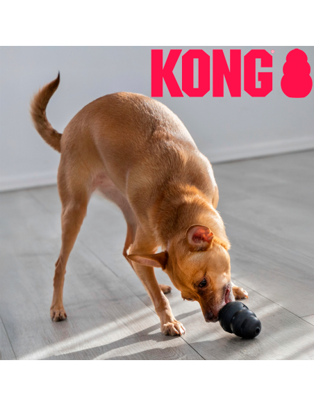 Kong Extreme. EAN 035585111148 / 035585111124
