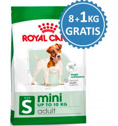 Royal Canin Mini Adult