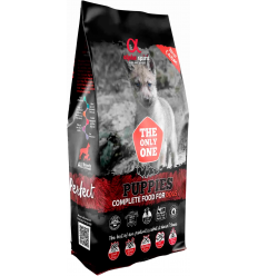 Alpha Spirit Puppies