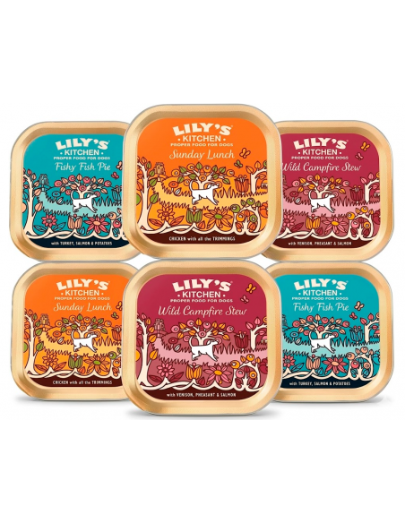 Lily`s Kitchen Dog Grain-Free Recipes Multipack 6x150 gr. EAN 5056273602293