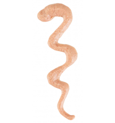 Schesir Cat Stix Creamy Snacks Variety Pack 90 gr. 8005852235046 2